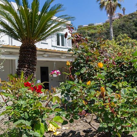 Villa Al Mare - Famiglia Calise Forio di Ischia エクステリア 写真