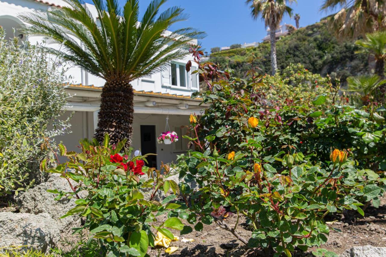 Villa Al Mare - Famiglia Calise Forio di Ischia エクステリア 写真