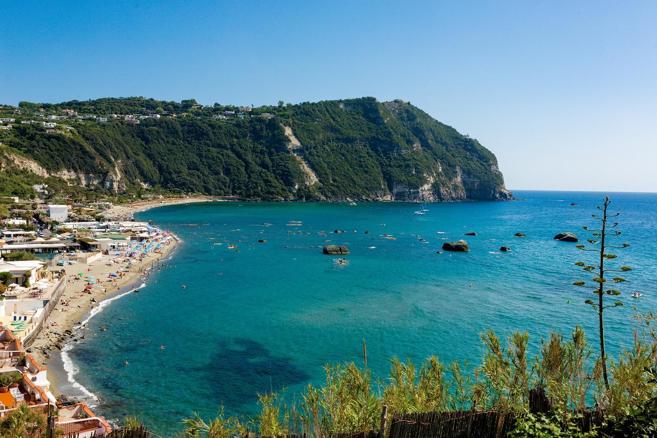Villa Al Mare - Famiglia Calise Forio di Ischia エクステリア 写真