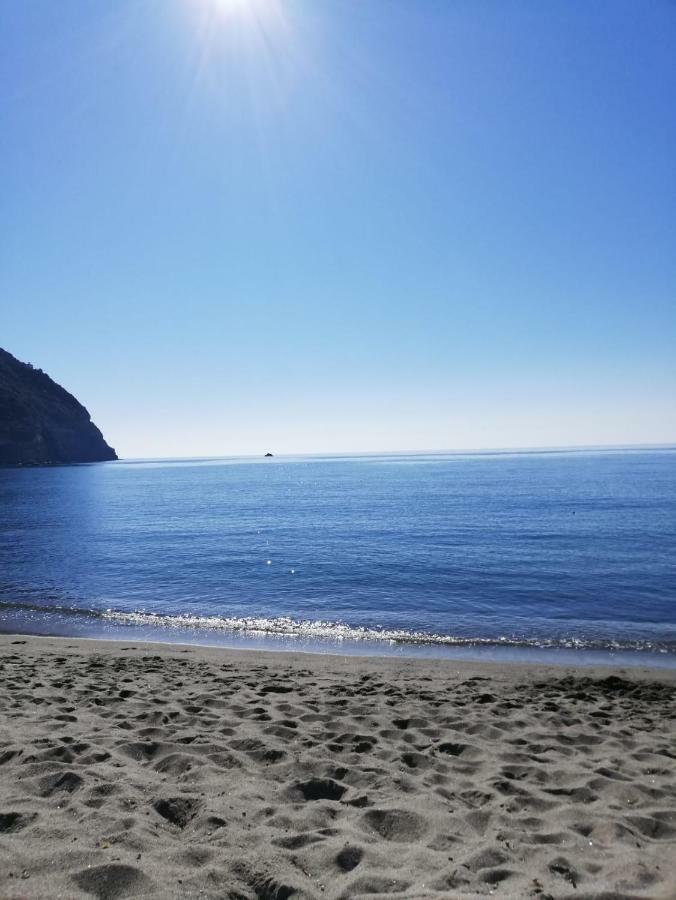 Villa Al Mare - Famiglia Calise Forio di Ischia エクステリア 写真